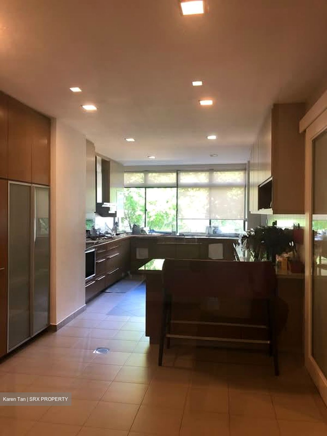 Astrid Meadows (D10), Condominium #575494381